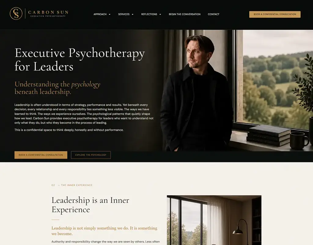 Carbon Sun business planning WordPress website