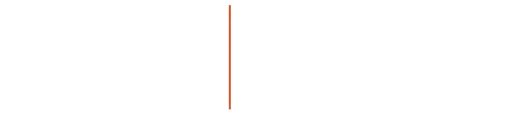 SPA Web Design – WordPress Specialist